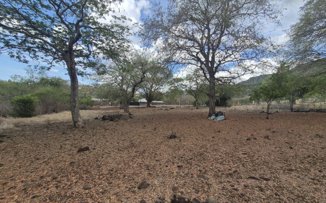 À vendre – Domaine de Palmyre, Rivière Noire